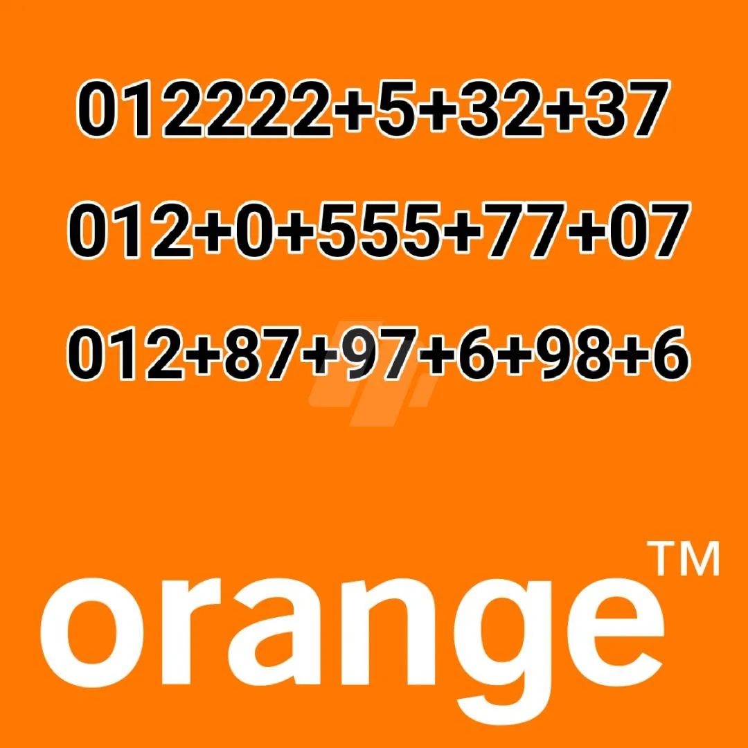 https://images.4sw.app/4swapp/media/cover/638768677000113784/cf6c80f2-e7e2-47a8-b948-5ef134dc1f2f