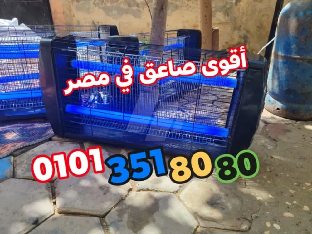 https://images.4sw.app/4swapp/media/cover/638794768216241248/2ccc47e4-89d5-4bb1-8fba-95190511acbe