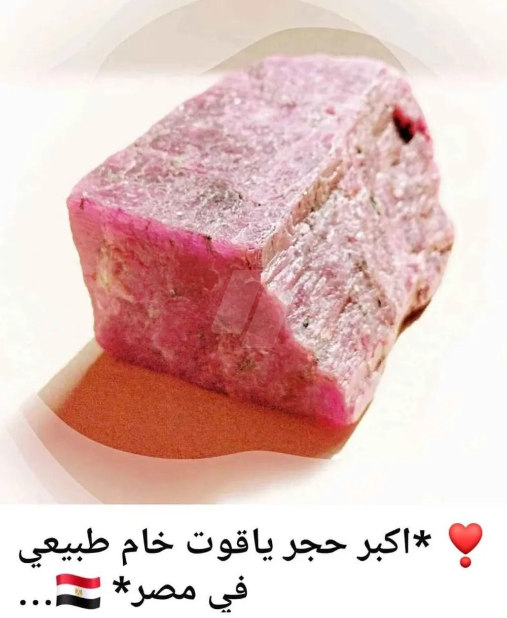 https://images.4sw.app/4swapp/media/cover/638882409885933472/9be3ca64-0119-4e2c-b8d4-cdba53ce24d7