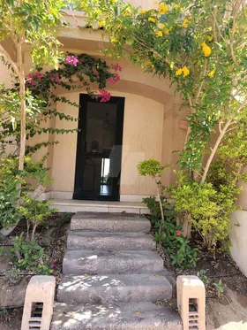 Twin house
