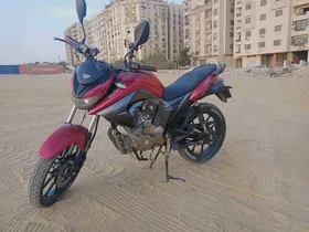 هوجن L250